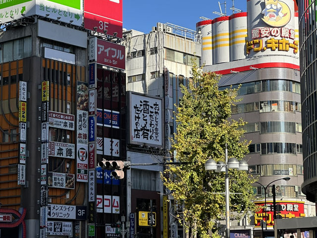 Two iconic cities, endless neon: Tokyo x Kyoto Review