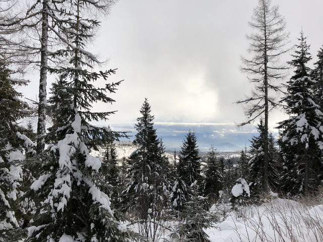 ❄️ Winter Tatras: Snowy Adventure in Slovakia