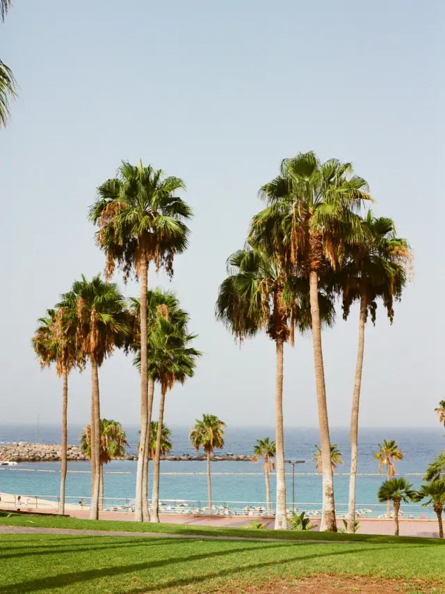 🏝️🏙️ Weekend Getaway in Palma: City & Sea Escape 🌴☕