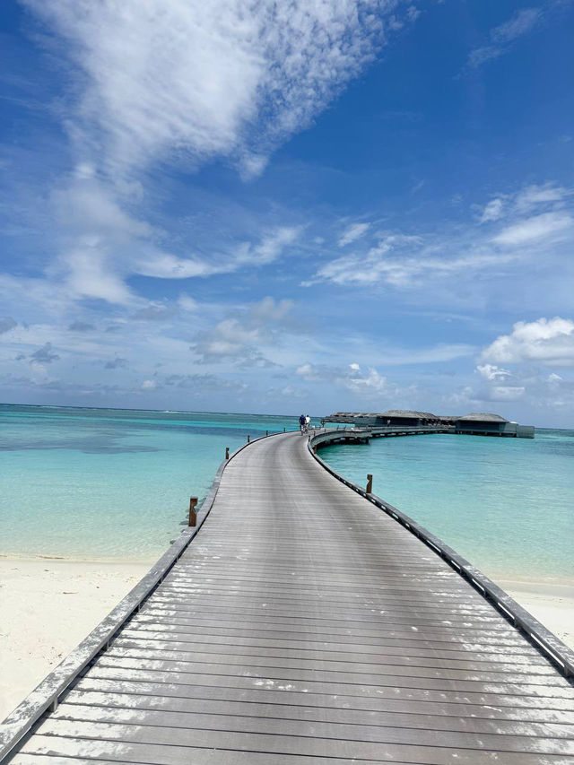 Living Like a Mermaid & Aqua Man at Jawakara Island Maldives ☀️🌊✨