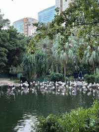 Гонконг. Вот что стоит увидеть.