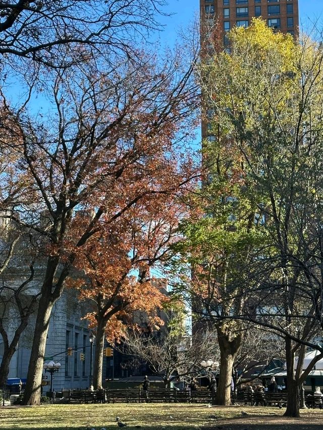 Crispy Autumn Manhattan Magic in One Day