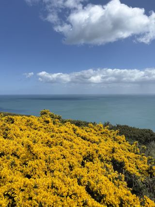 讓人忘記時間的景色　Howth