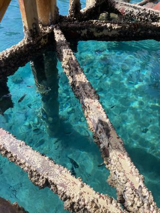 為什麼以色列應該成為你下一個旅遊迷戀地 