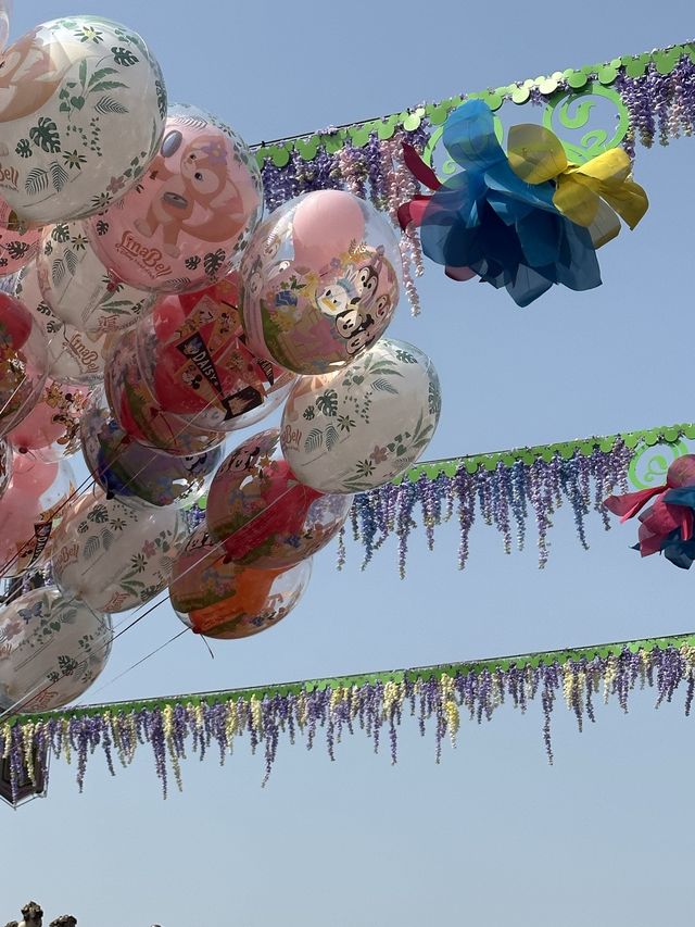 Springtime Shanghai Disney Resort🐭🎡🎪