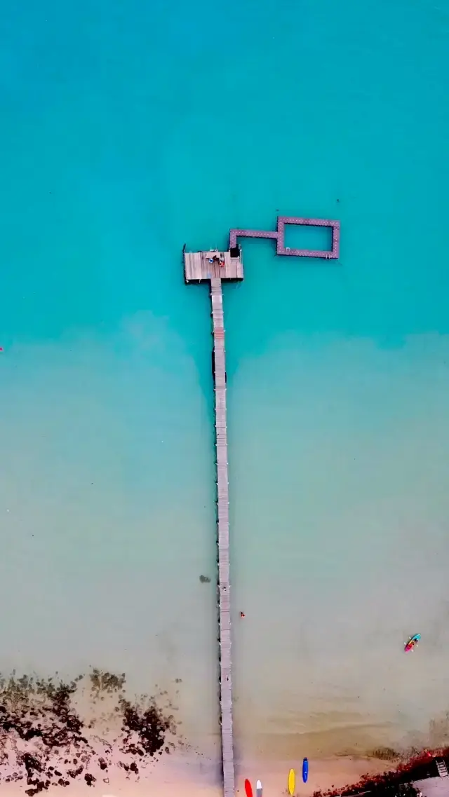 心靈之海 💙🌊🌴