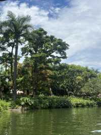 Adventureland at HK Disneyland🌿🌱🪵🌳