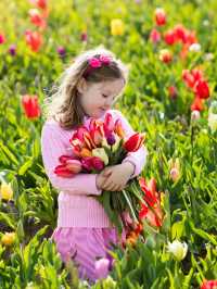 Life always needs a spring reserved for the Netherlands, to see the tulip fields.