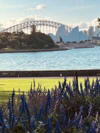 Sydney is already in autumn.