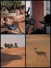 Enchanting Desert Luxury | Abu Dhabi In-Depth Travel Guide