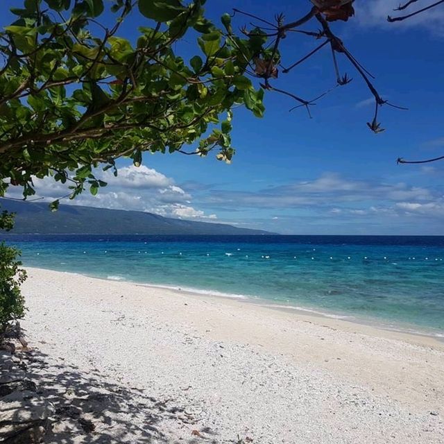 Secluded Getaway on an Island in Cebu 🇵🇭🏖