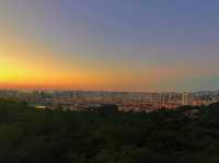 Sky-High Serenity: Zhongshan park 🌇🚡