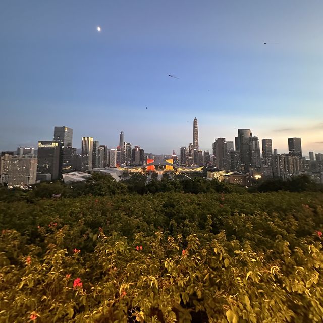 Stunning nighttime views of Shenzhen