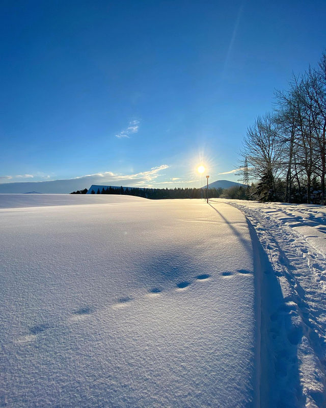 Hokkaido's Best Night Skiing