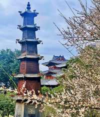 說三遍:不是林陽寺，不是林陽寺，不是林陽寺