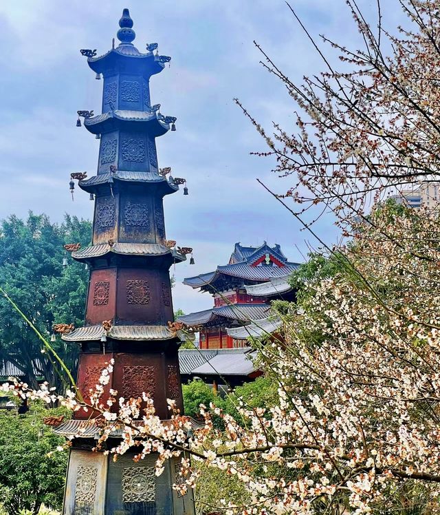 說三遍:不是林陽寺，不是林陽寺，不是林陽寺