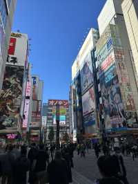 東京-鎌倉-箱根-京都-奈良-大阪