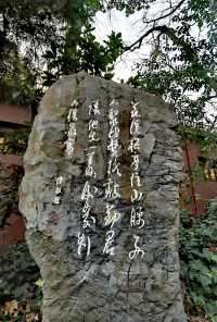 【多彩貴州·花溪公園】“十里河灘”最靚處