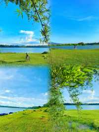 發現惠州橫歷新村露營草地，周末出遊好去處！