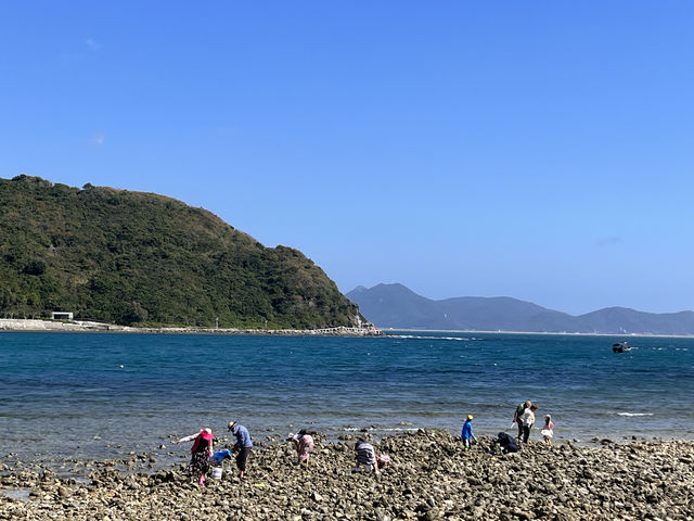 小東海