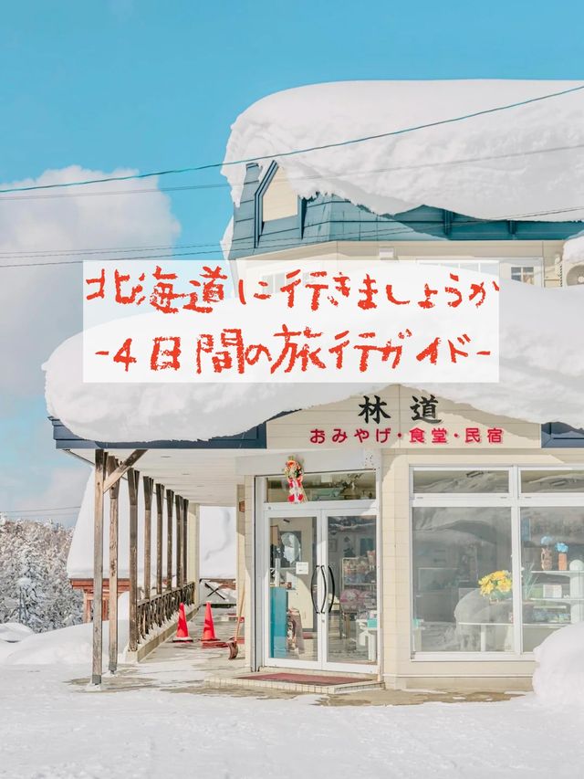 ‼️北海道に5回行った後、夜更かししてまとめた攻略