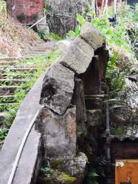 自貢艾葉沙塘半島尋鹽之旅