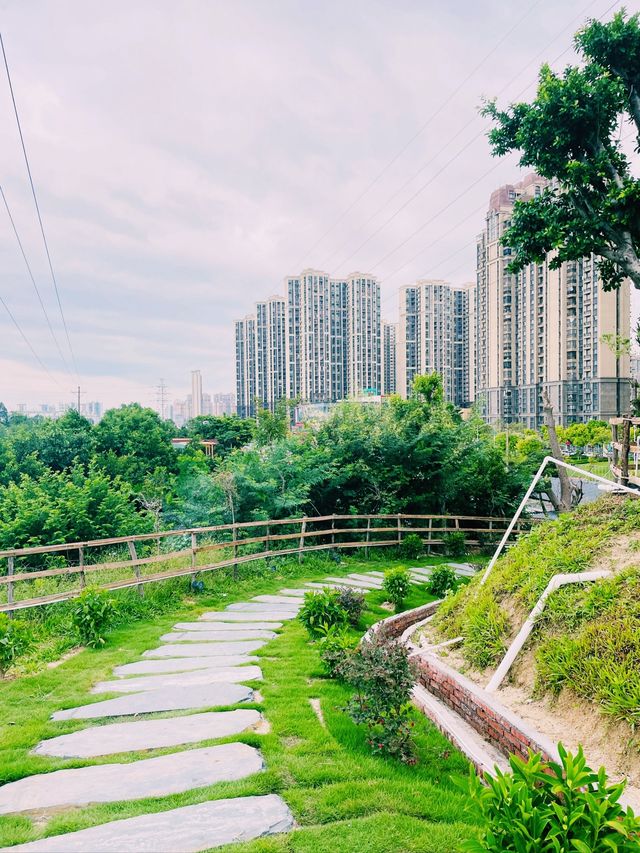 在趣野營地附近，又多了一個露營好去處