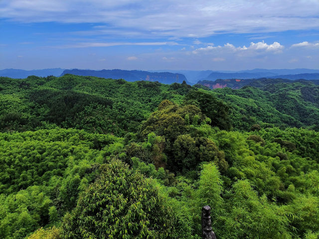 你想看什麼樣的風景，我們一起來感受大自然吧！