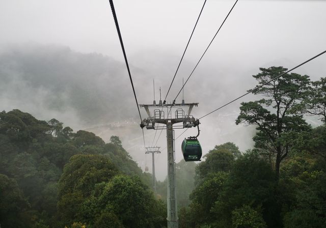 水墨繚繞三清山