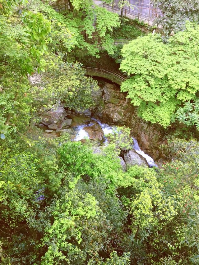 牛頭山國家森林公園