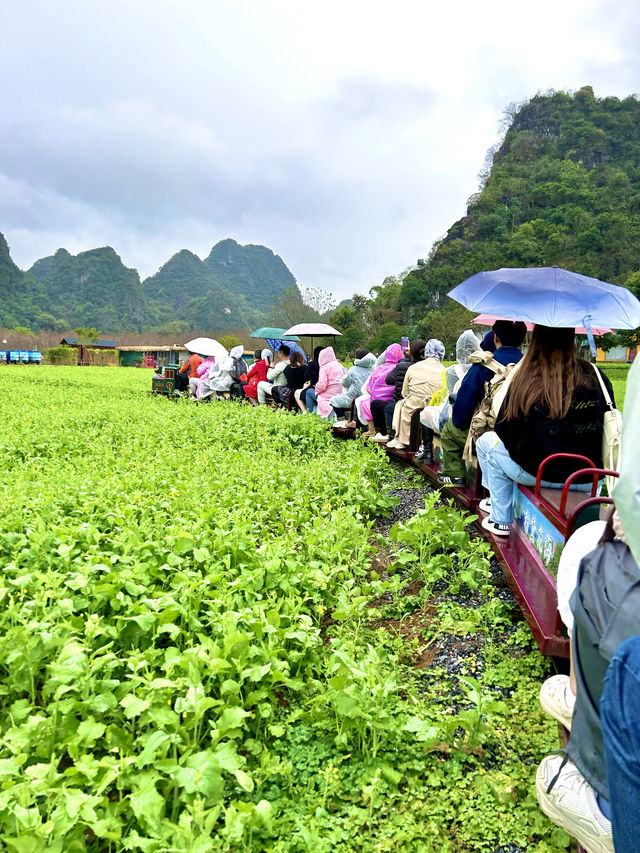 廣州周邊自駕遊之探尋仙境之旅