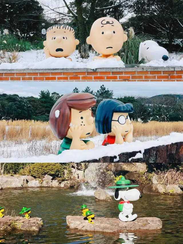 Jeju Island｜Spring Festival reverse travel history Snoopy Park