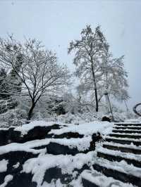 小鎮大雪