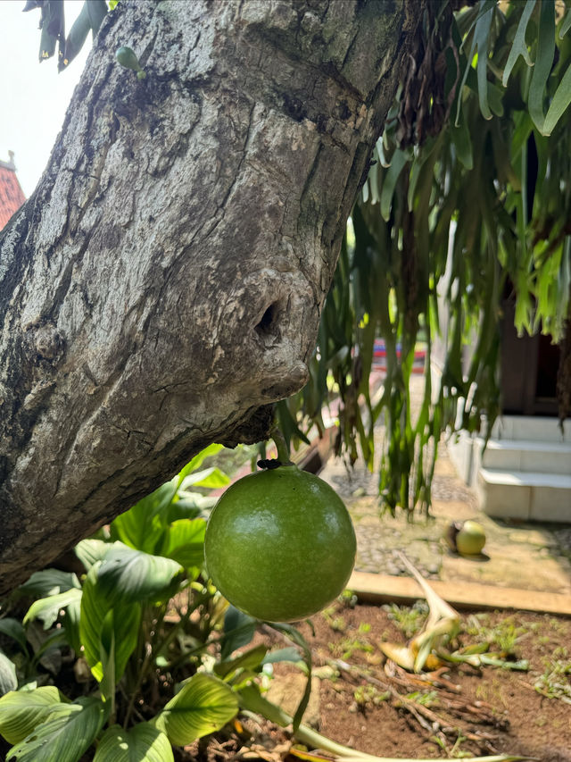 印尼縮影公園