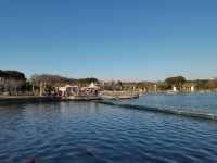 閔行體育公園