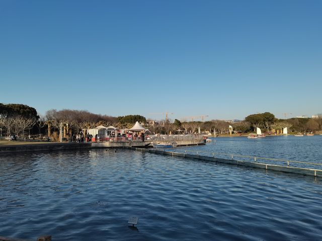 閔行體育公園