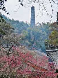 天台國清寺