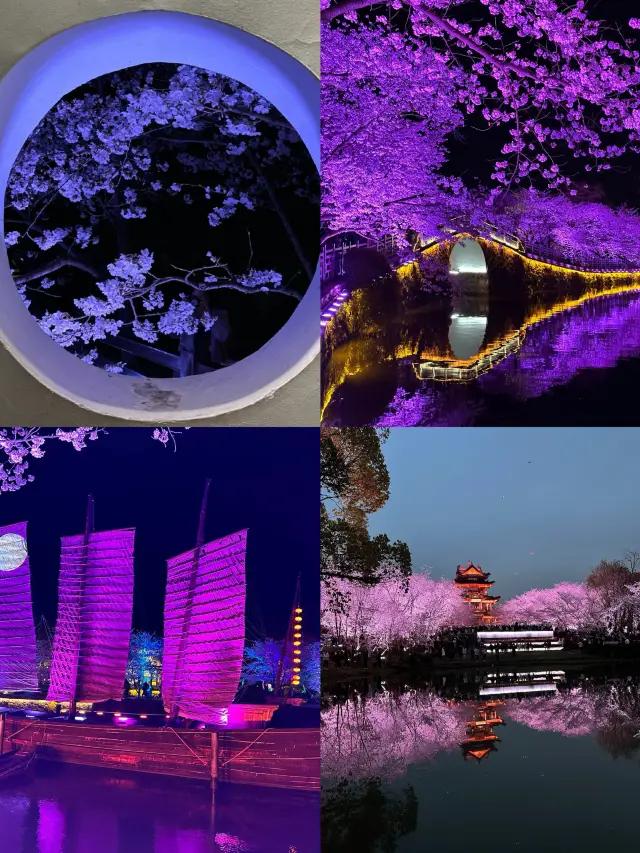 2024년 무석 어두주 벚꽃 구경 가이드가 너무나도 완벽하다