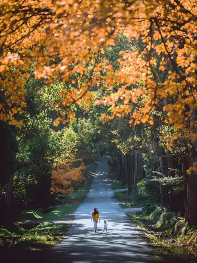 From March, Melbourne is changing colors