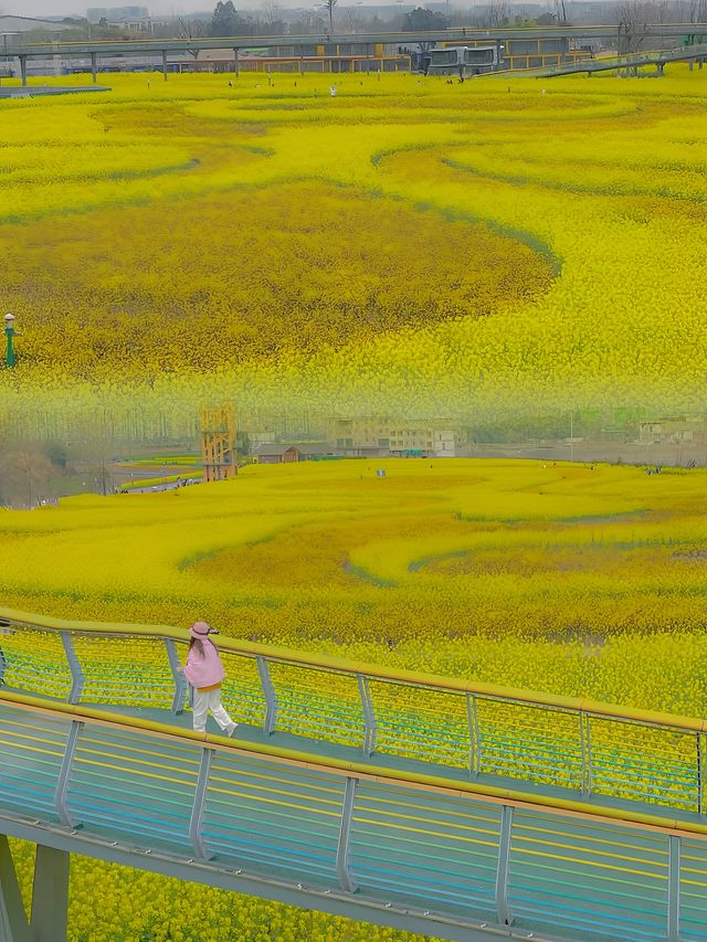 成都地鐵可達！在浪漫花橋上賞花海