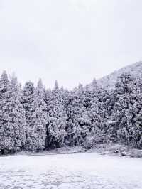 武漢周邊的九宮山滑雪場