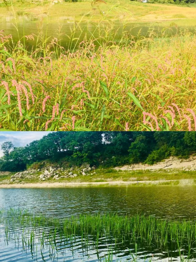 松花湖旺起濕地