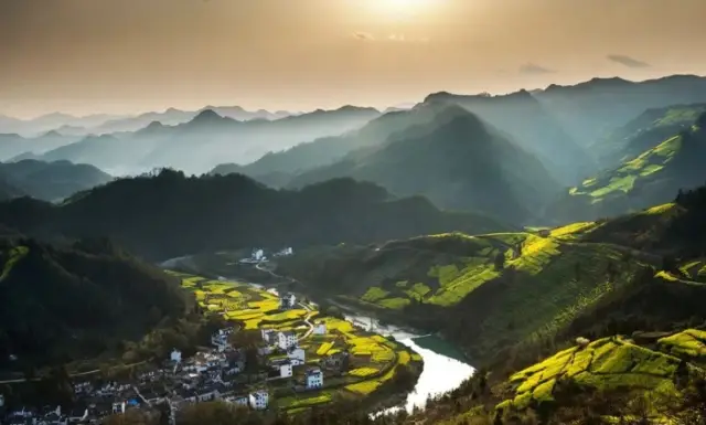 Huangshan Shitan: A Complete Guide to Enjoying the Sea of Rapeseed Flowers