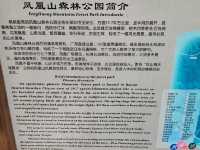 攀登深圳十峰之一的鳳凰山