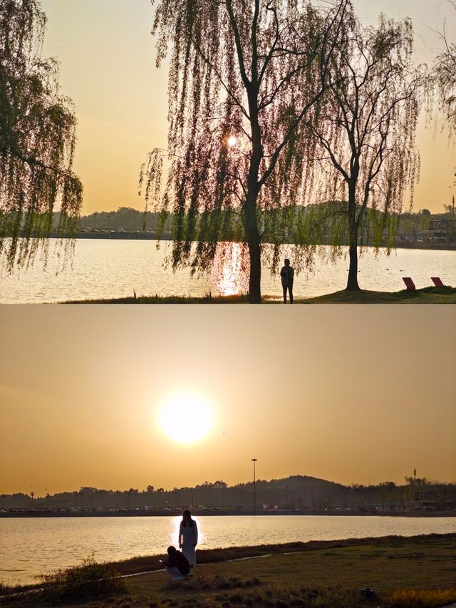 興隆湖踏青｜成都市內看夕陽最浪漫的地方！