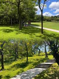我宣布這是深圳公園天花板