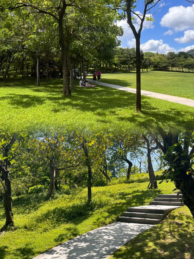 我宣布這是深圳公園天花板