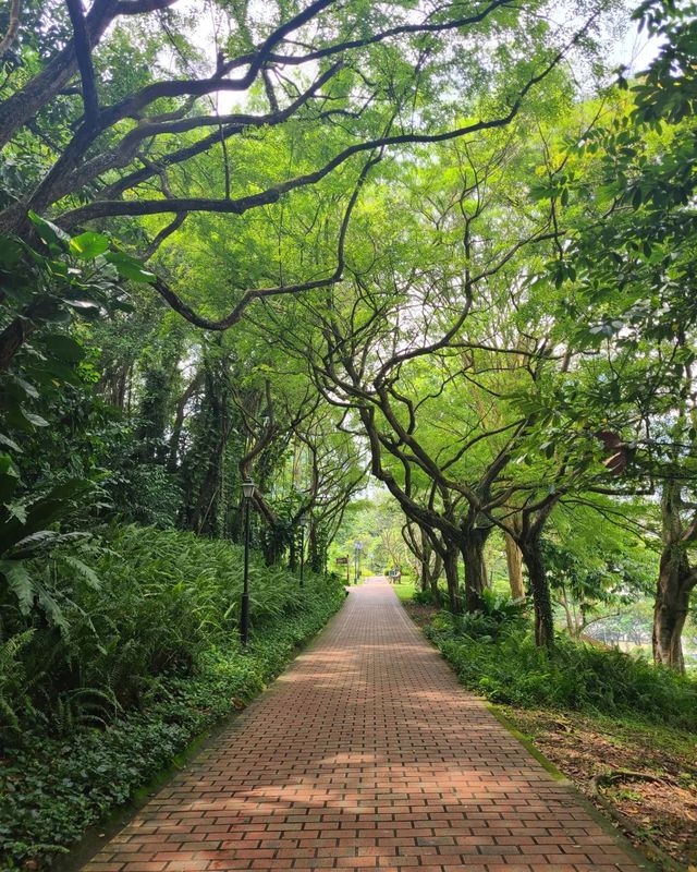 驚人的發現！新加坡福康寧公園，你絕對不能錯過