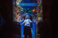 暹羅海洋館：遛娃必去，這是一個很人性化、帶入感強的海洋館