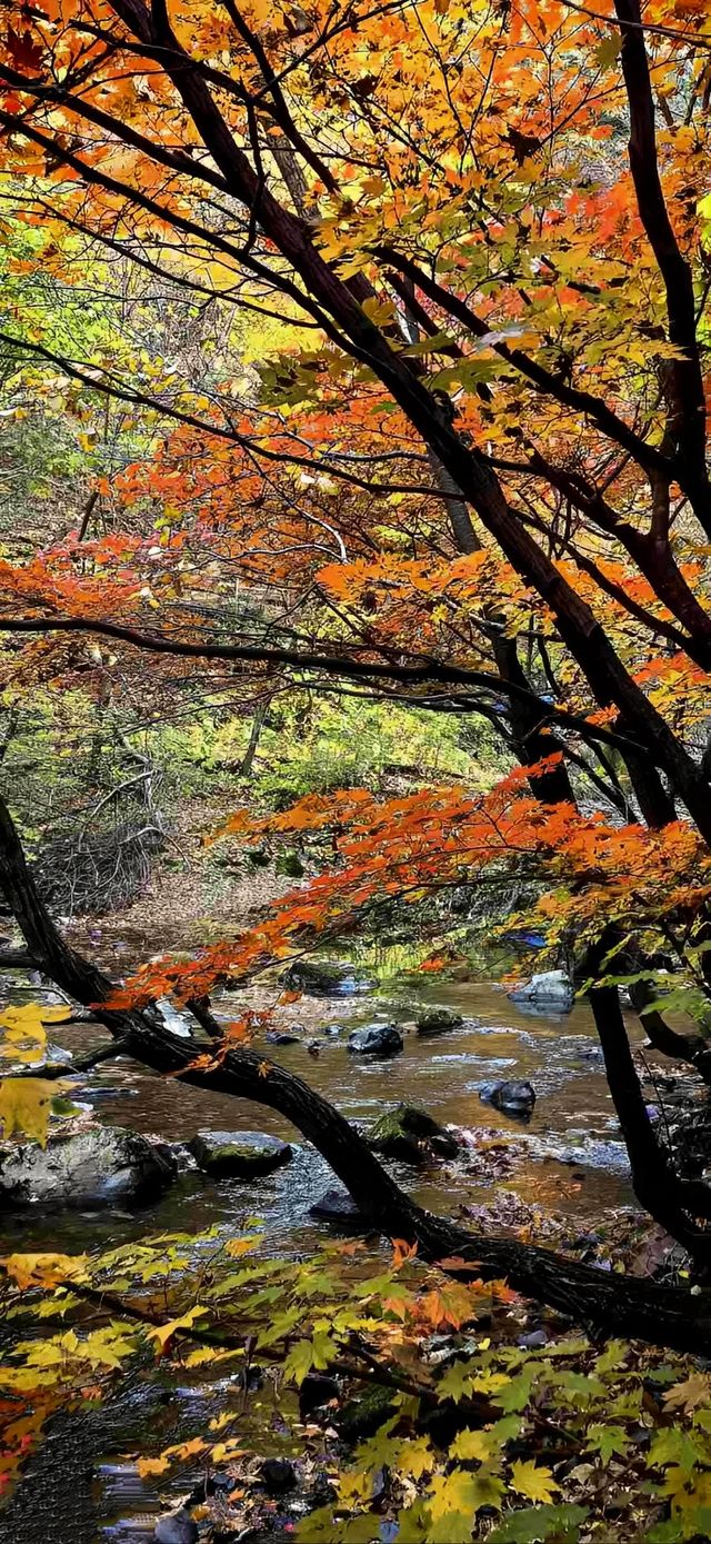 大石湖風景區